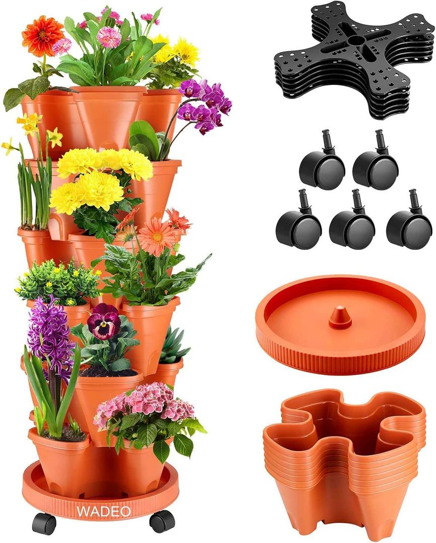 Plant Tower Press profile homify Storage room Blume, Anlage, Blumentopf, Zimmerpflanze, Landpflanze, Schriftart, Vase, Künstliche Blume, Blumen arrangement, Blütenblatt