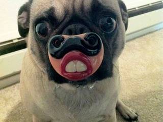 Desirée Vaquier_homify