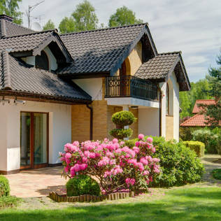 How To Choose The Right Flowers For Your Home