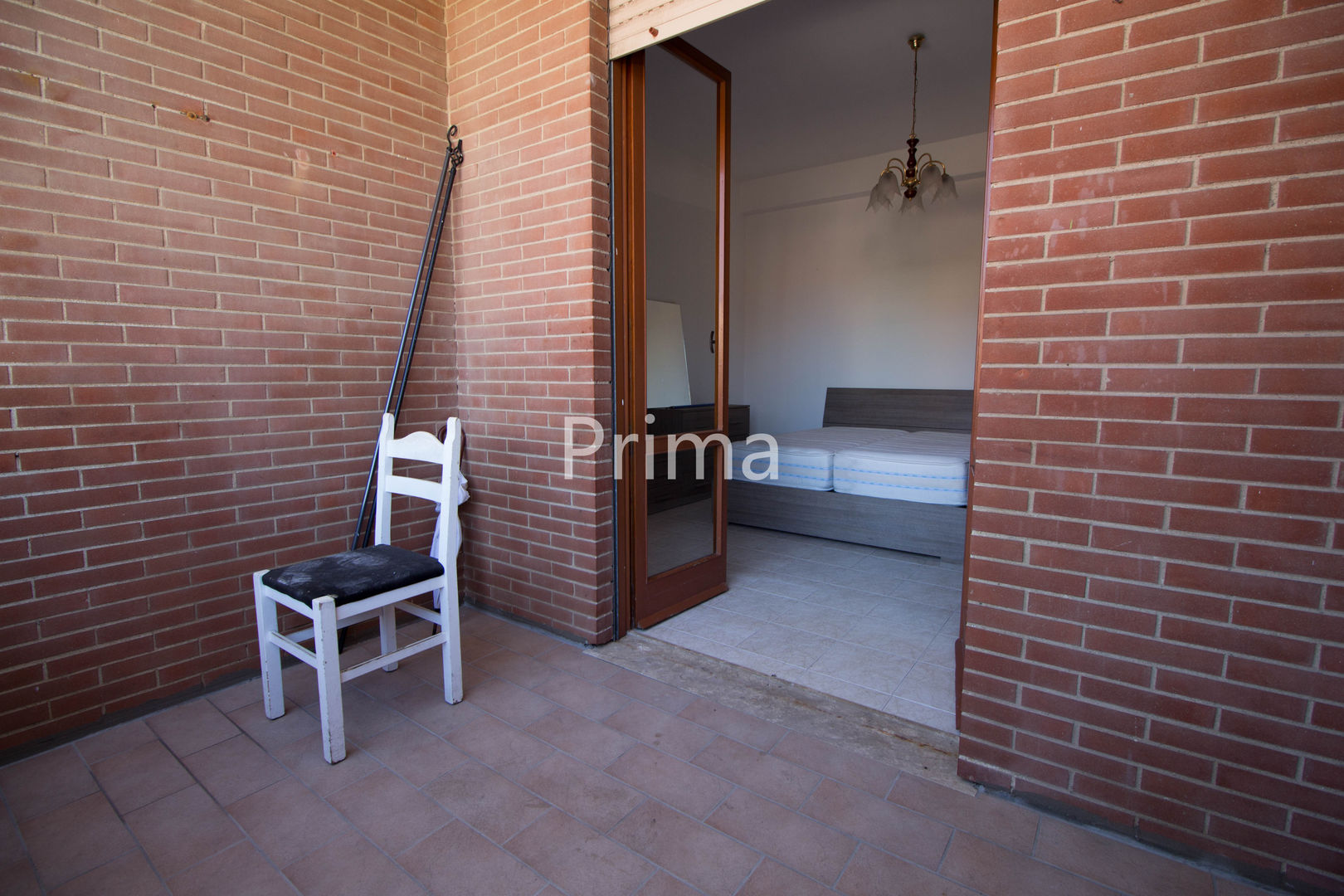 Gerberas in Bloom, Studio StageRô di Roberta Anfora - Home Staging & Photography Studio StageRô di Roberta Anfora - Home Staging & Photography