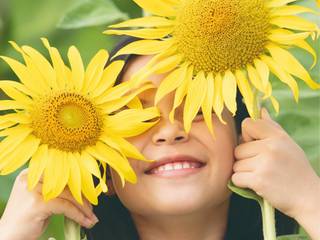 primavera, Caroline Nixon Caroline Nixon Rock Garden