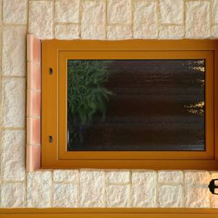 How to Fight Mould in Just 5 Steps