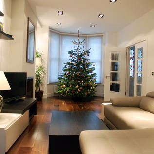 Decorate Your Christmas Tree in a Modern Way