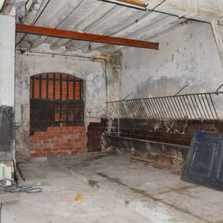 How to Fight Mould in Just 5 Steps