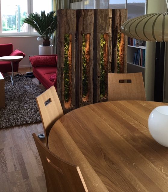 Raumteiler "Wood", blonddesign blonddesign Spa Engineered Wood Transparent