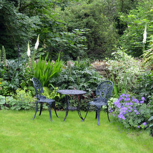 Post-winter gardening tips (15) to start right now