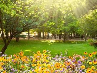 primavera, Caroline Nixon Caroline Nixon Rock Garden