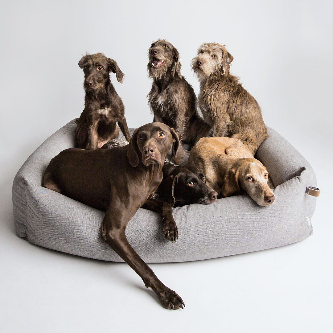 Dog Bed SLEEPY DELUXE (XL) Cloud 7 Finest Interiors for Dogs & Dog Lovers Modern Living Room Accessories & decoration