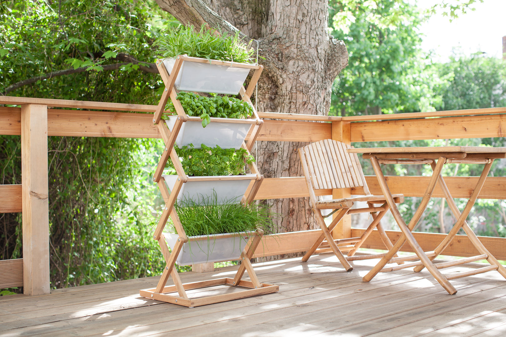 Vertical Garden - outdoor Jörg Brachmann Dipl. Designer (FH) Modern Terrace Plants & flowers