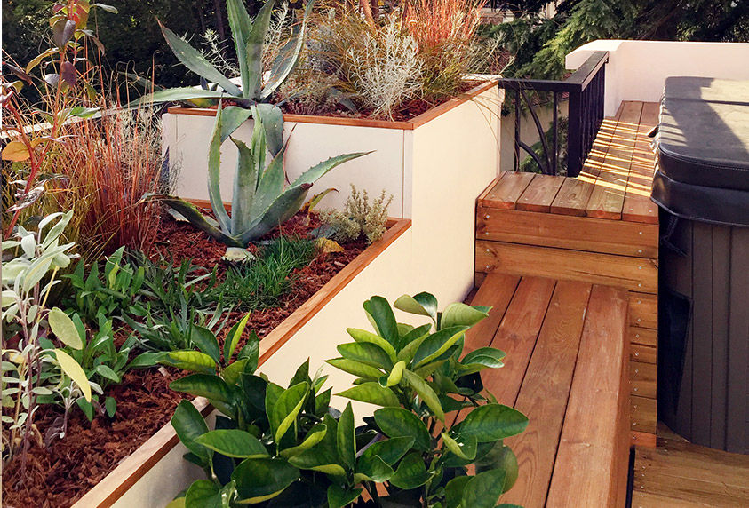 Bar et banc Fertiles Mediterranean style garden Plants & flowers